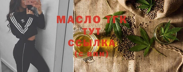твердый Гусев