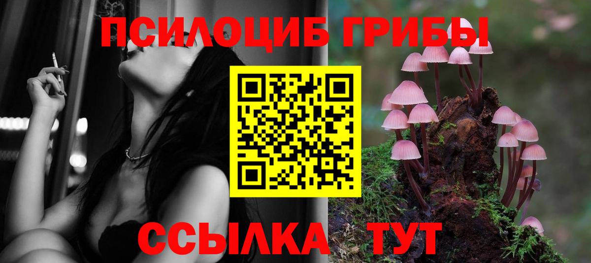 Галлюциногенные грибы прущие грибы Карасук